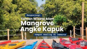 Mengunjungi Taman Wisata Alam Mangrove di Jakarta 2 Mengunjungi Taman Wisata Alam Mangrove di Jakarta
