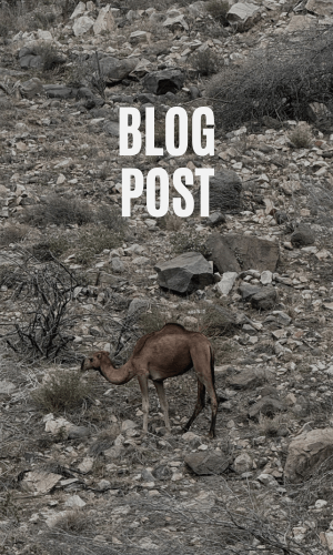 Adela Hasna's Personal Blog 4 Blog Post - Ahasna